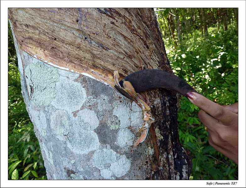 2012 - 03 - Koh Lanta 35